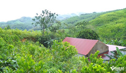 W-b2Vết nứt dài 200m từ trên sườn đồi.jpg