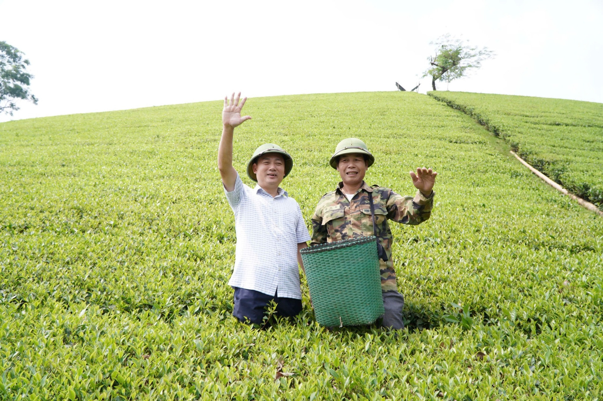 anh3_1920px (1).jpg