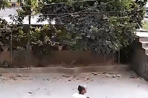 Ô tô chở học sinh bị mất lái, lao qua hàng cây rồi rơi khỏi đường trên cao