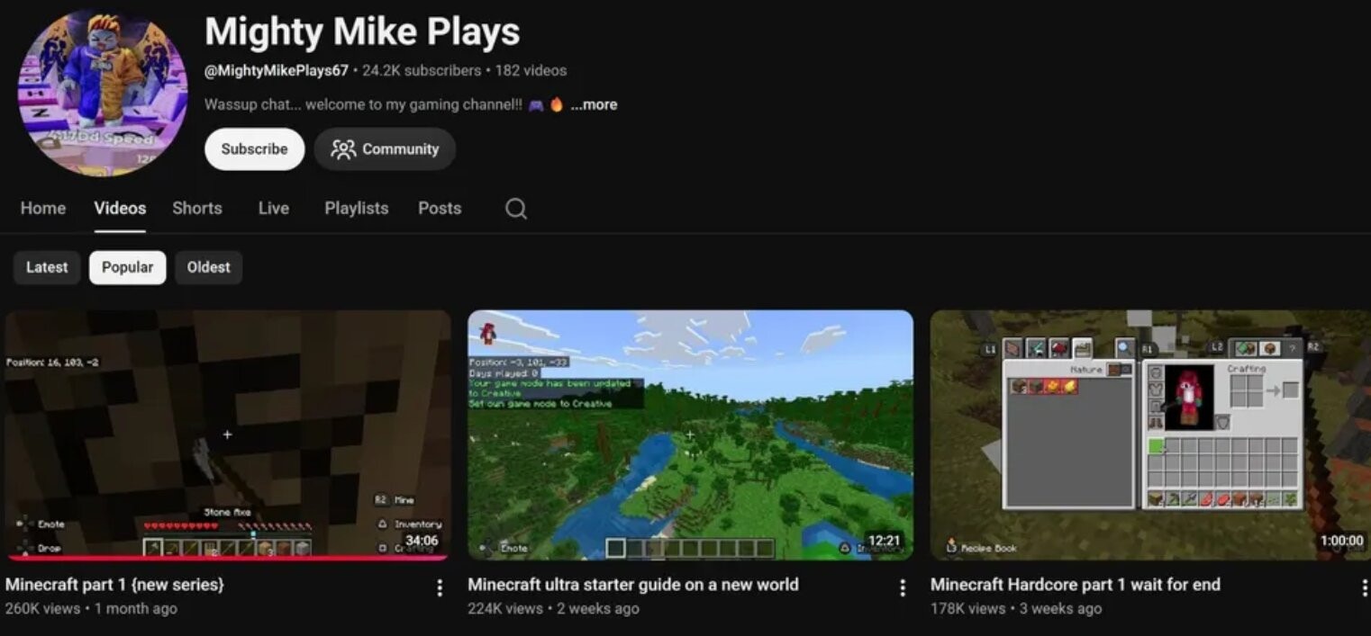 youtuber.jpg