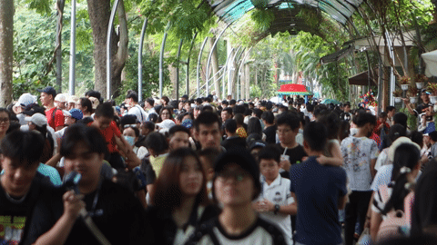 Dòng người 'tranh nhau' cho thú ăn ở Thảo Cầm Viên trong ngày Quốc khánh 2/9