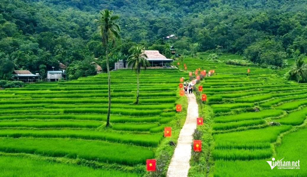 W-a3Rực rỡ cờ hoa mừng Quốc khánh.jpg