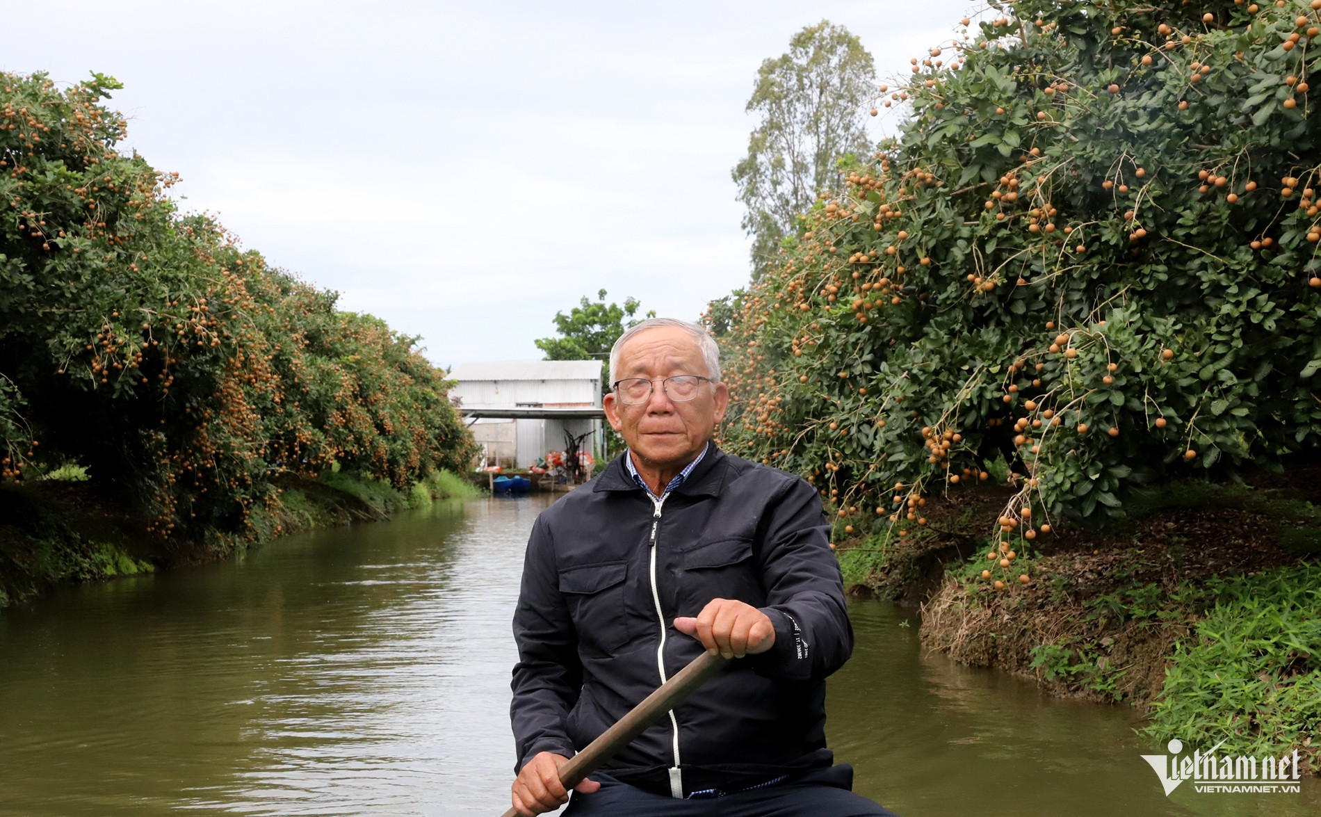 W-Thanh nhãn 00.jpg