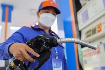 Giá xăng dầu hôm nay 20/9: Thế giới trái chiều, trong nước ghi nhận tuần đi lên