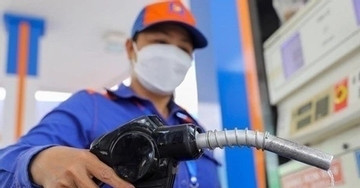 Giá xăng dầu hôm nay 20/9: Thế giới trái chiều, trong nước ghi nhận tuần đi lên