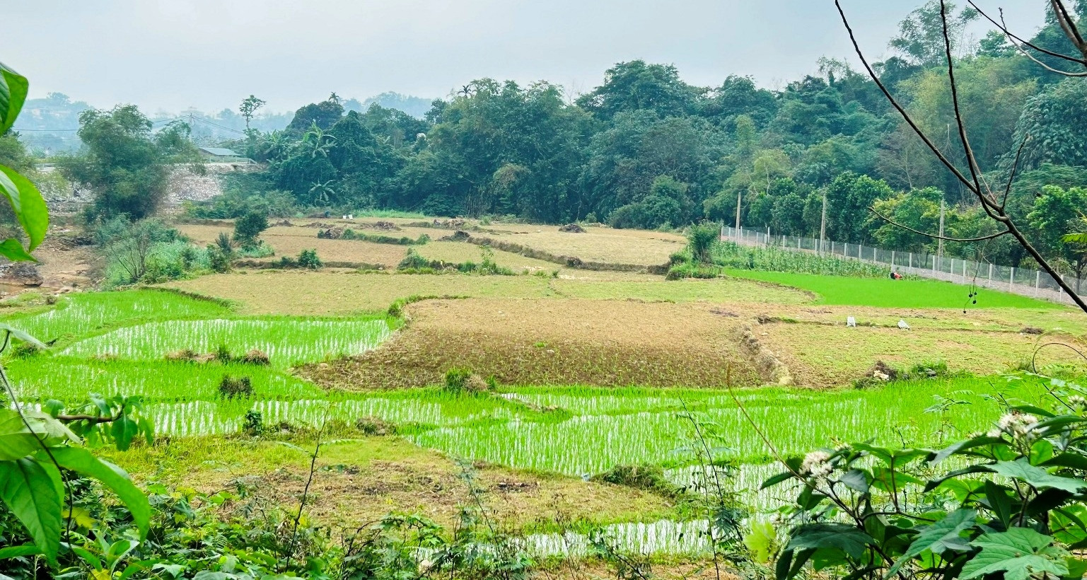Chuyển sang đất ở: Được giảm tiền sử dụng đất, có thể tính lại khoản đã nộp