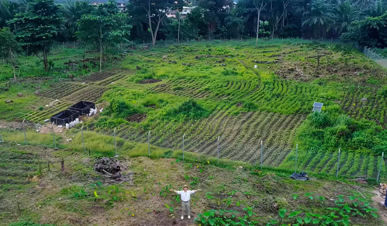 ngoilang13.jpg