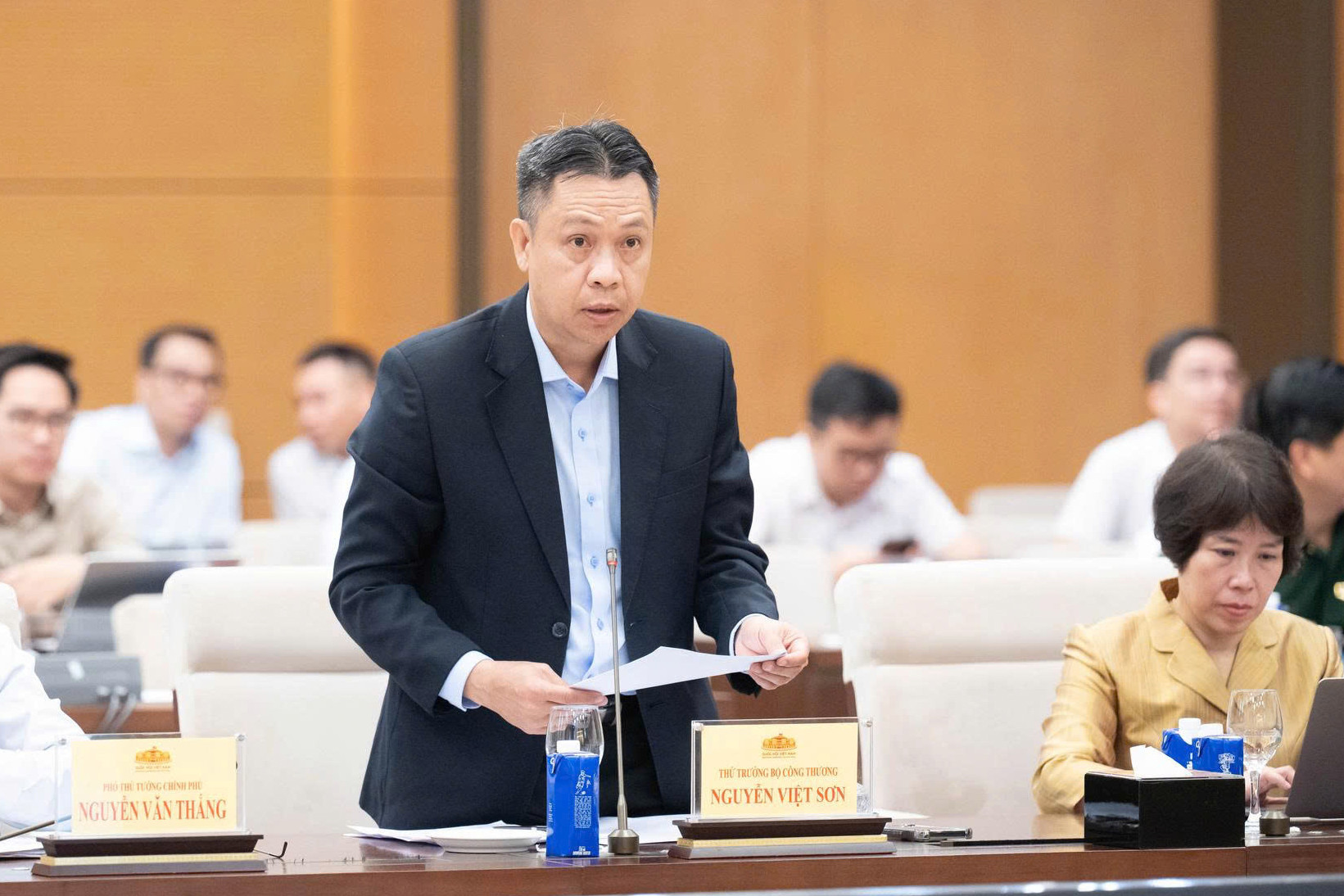 Thứ trưởng Bộ Công Thương Nguyễn Việt Sơn