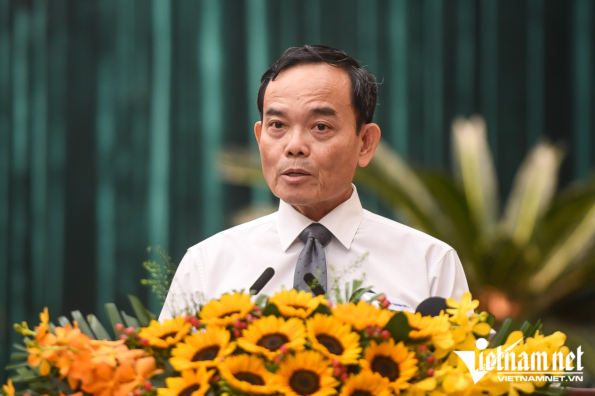 W-BT Trần Lưu Quang   Nguyễn Huế.jpg