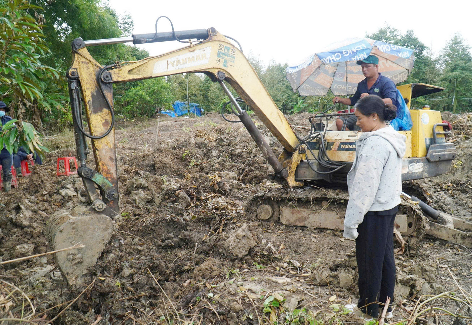 Đồng Tháp.jpg
