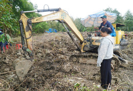 Đồng Tháp.jpg