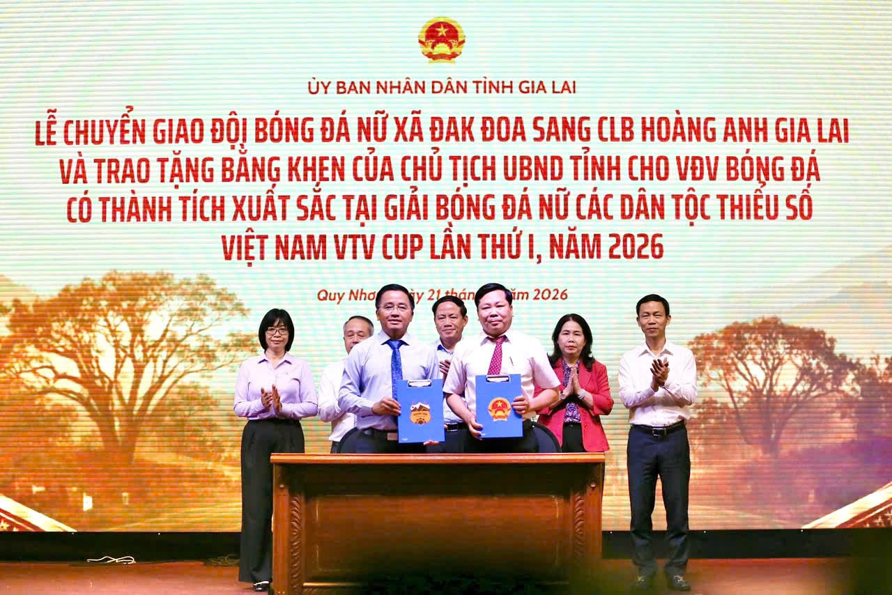 ec6c44e56381e3dfba90 (1).jpg