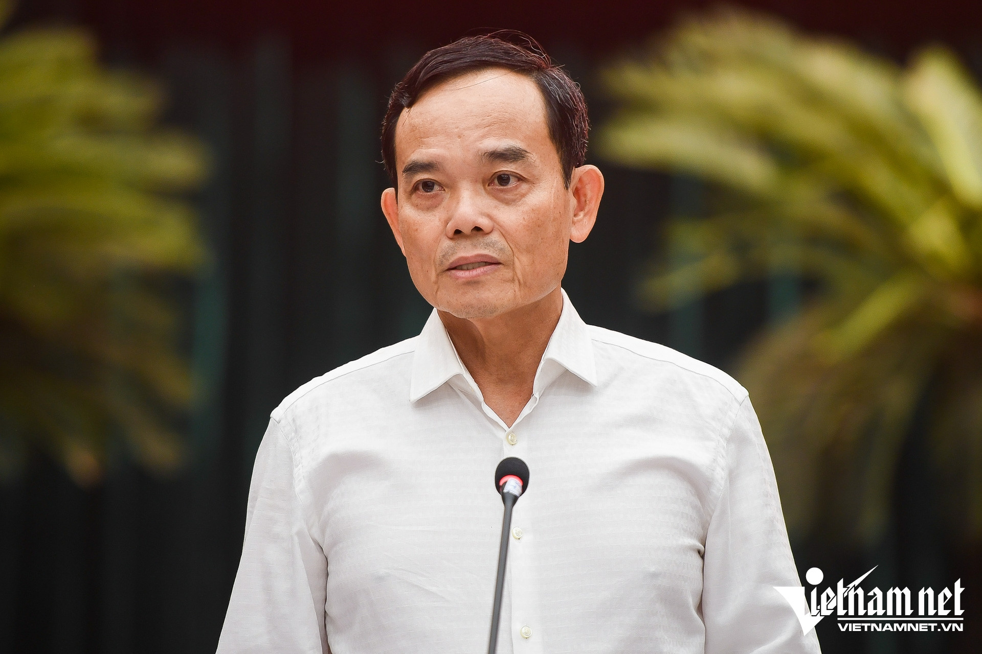 W-BT Trần Lưu Quang 2.jpg