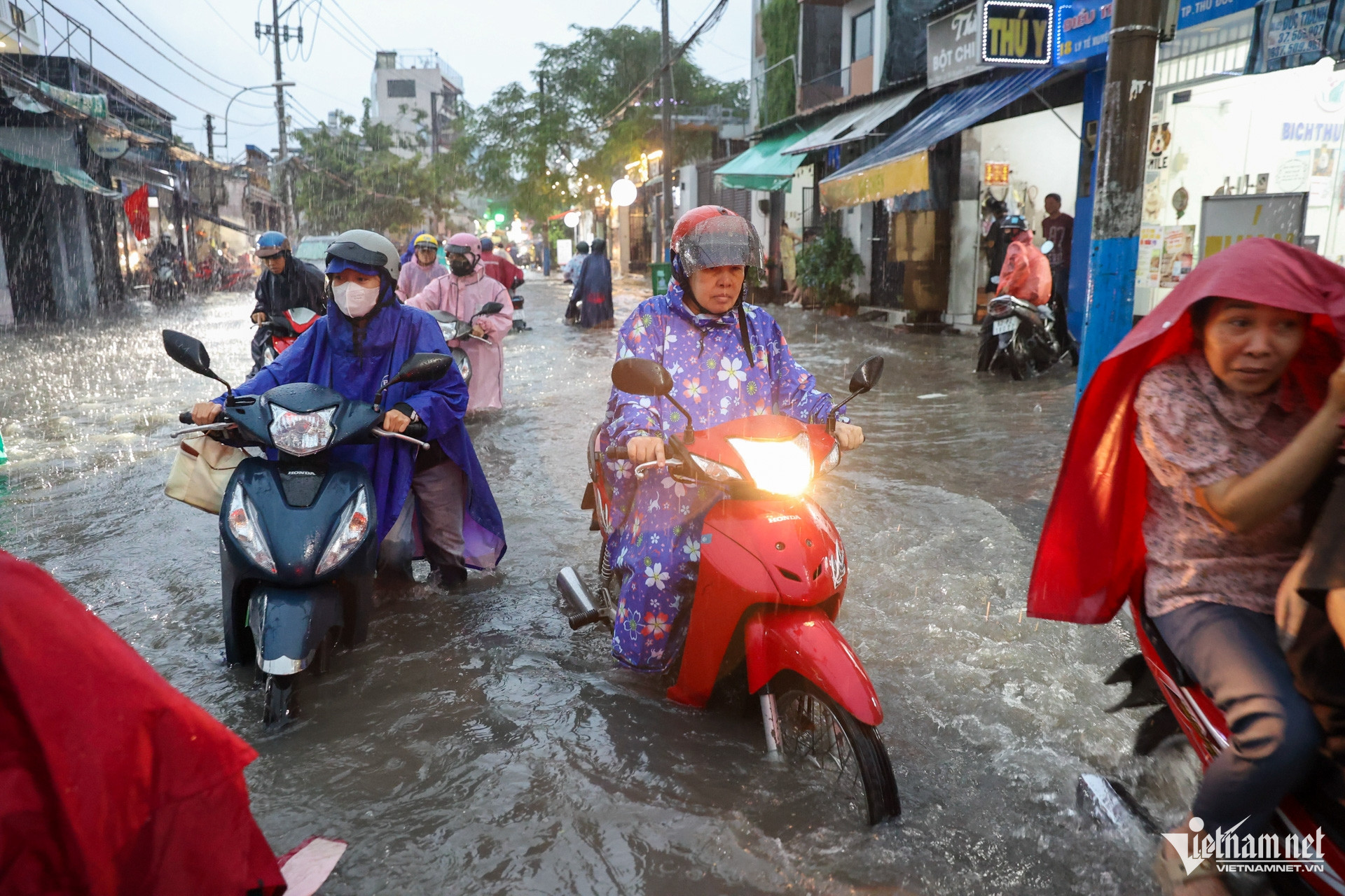 https://static-images.vnncdn.net/vps_images_publish/000001/000003/2026/9/22/w-hdnd-tphcm-nguyen-hue-18-3286.jpg