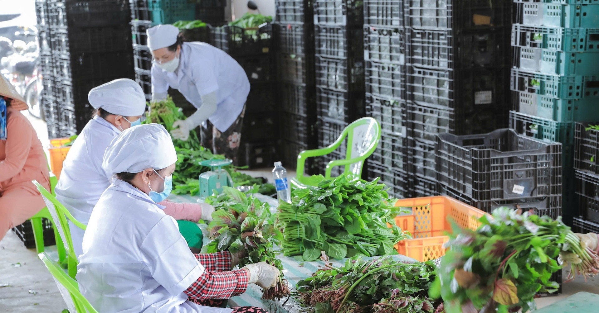 Giá rau xanh ở TPHCM tăng cao: "Chúng tôi gần như không có rau để bán"