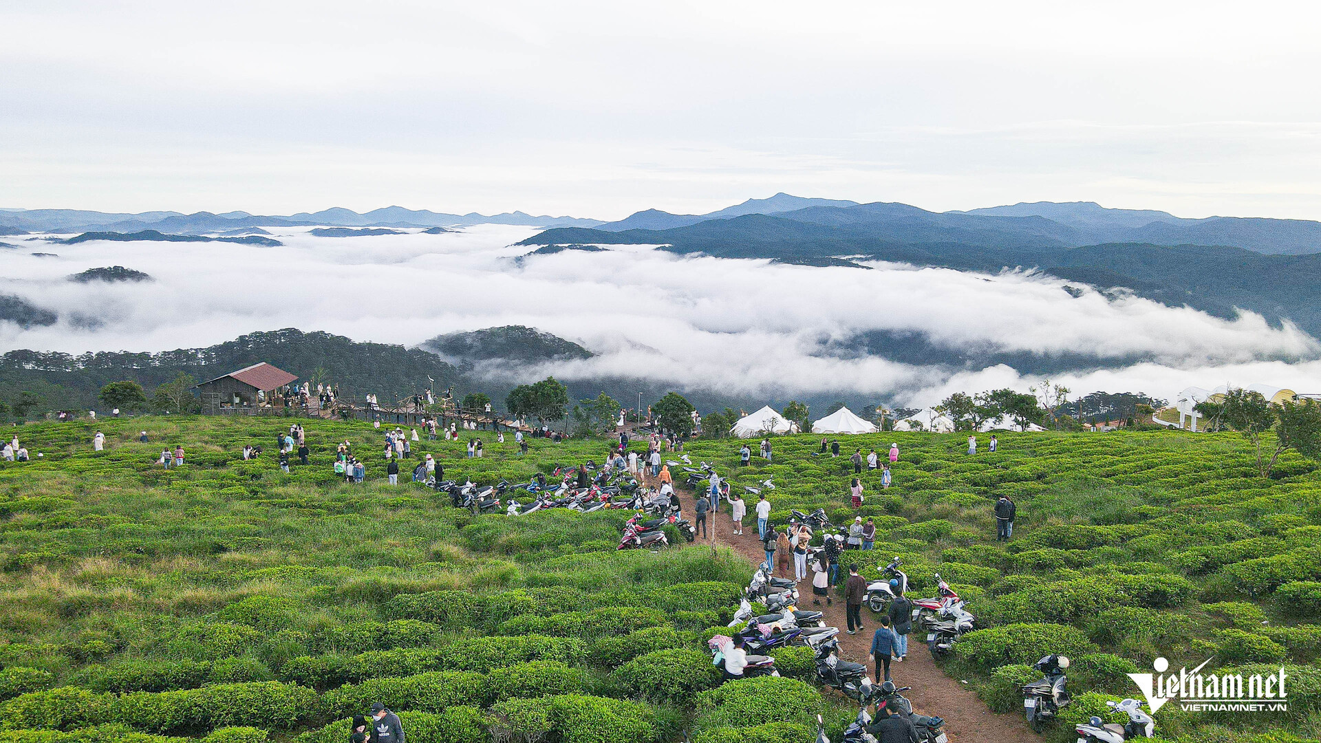 san may da lat 34 559 (1).jpg