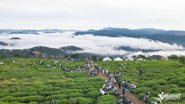san may da lat 34 559 (1).jpg