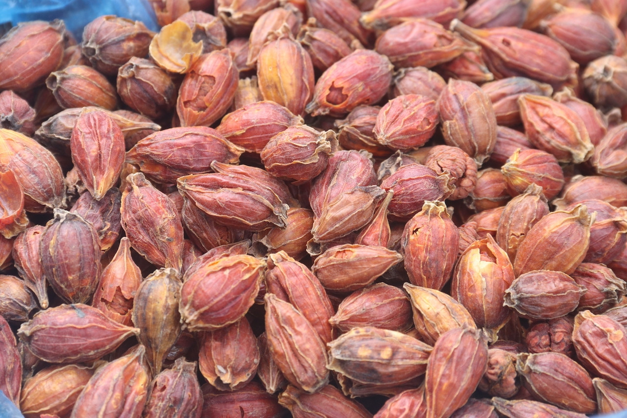 Thứ quả dại ở góc vườn sở hữu hoạt chất như saffron nhụy nghệ tây đắt đỏ