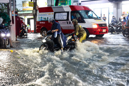 w hdnd tphcm nguyen hue 15 3288.jpg