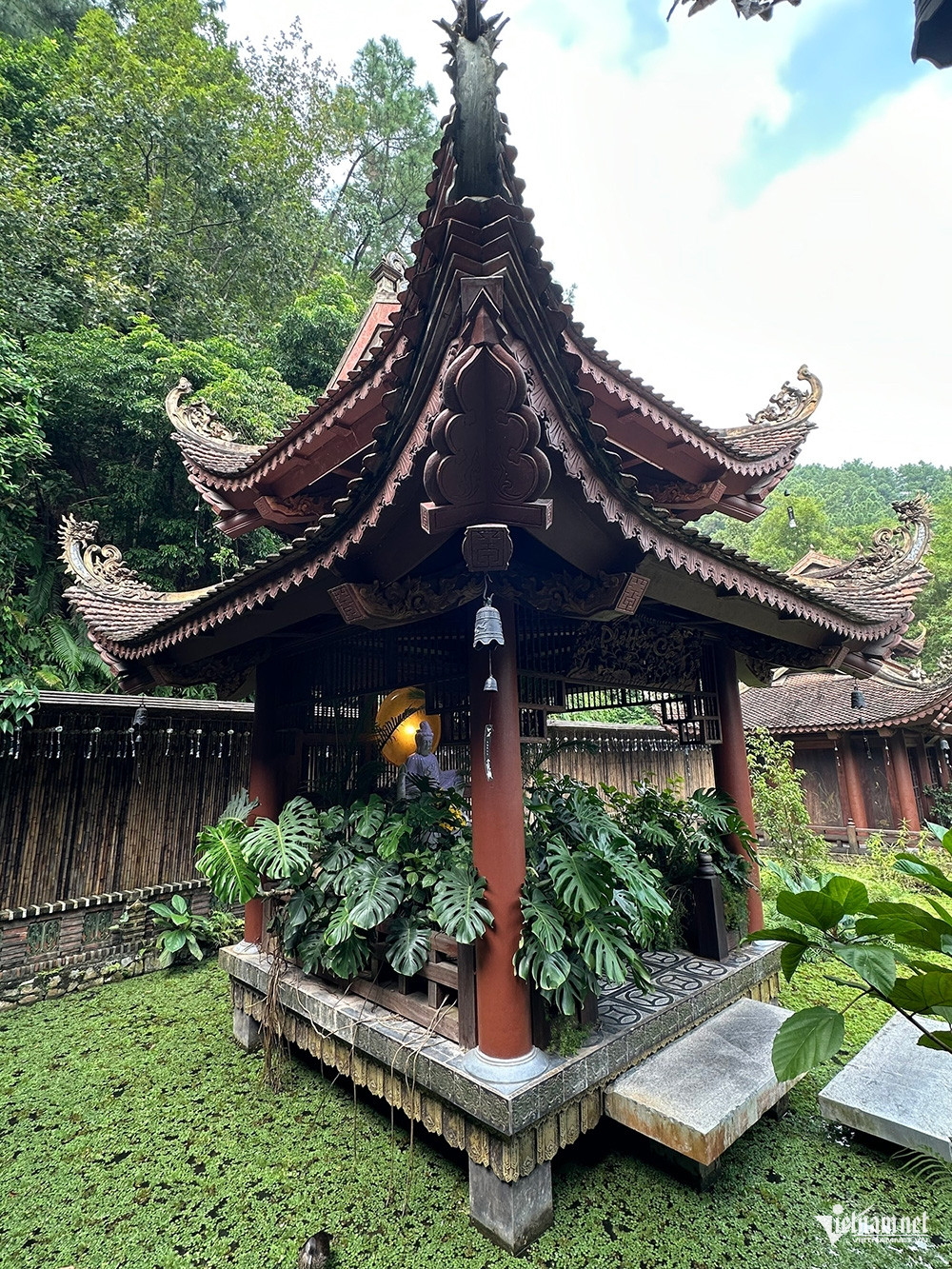 https://static-images.vnncdn.net/vps_images_publish/000001/000003/2026/9/23/w-phi-lai-1-3777.jpg