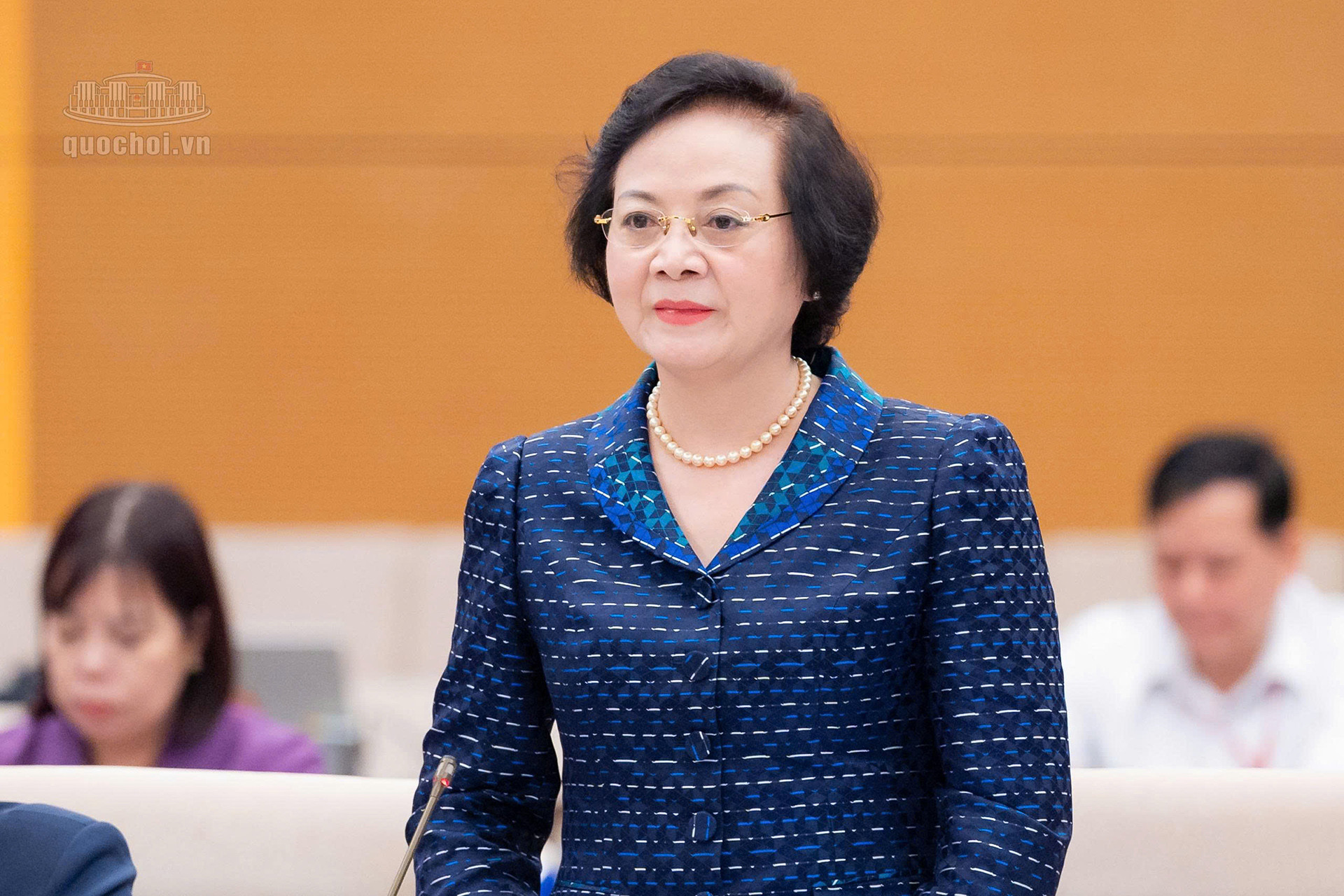 Phó Thủ tướng Phạm Thị Thanh Trà