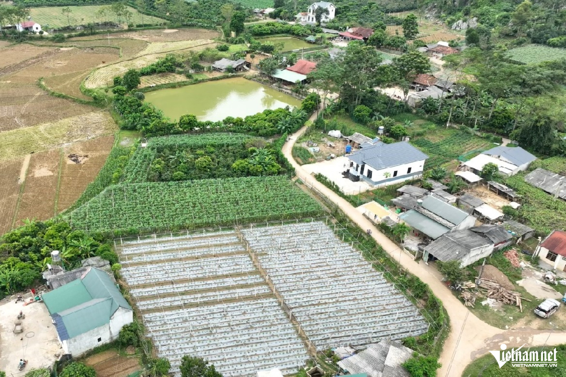 W-Anh minh hoa 1.jpg