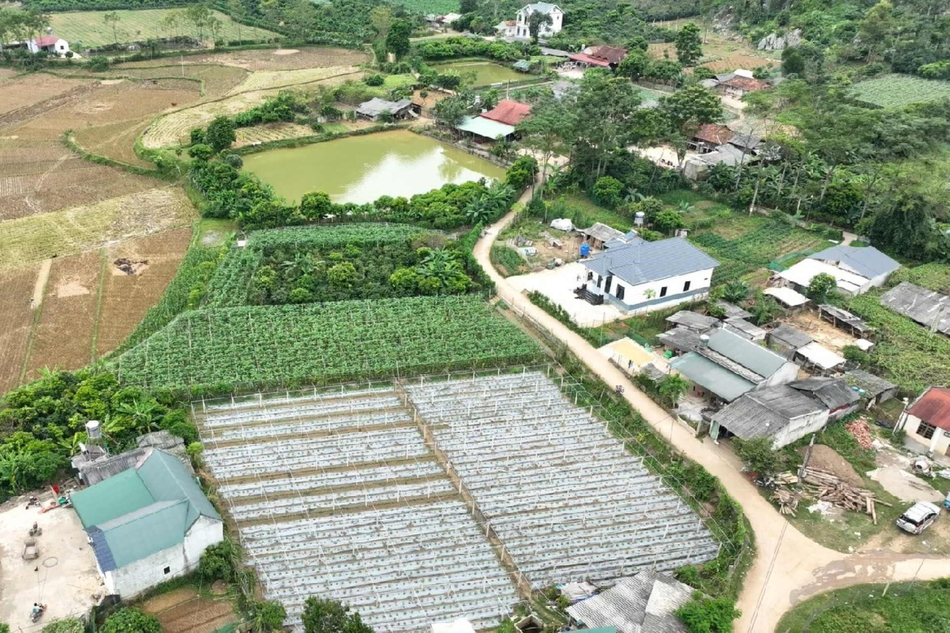 Xây nhà trên đất nông nghiệp gần 30 năm, xin chuyển sang đất ở có bị xử phạt?