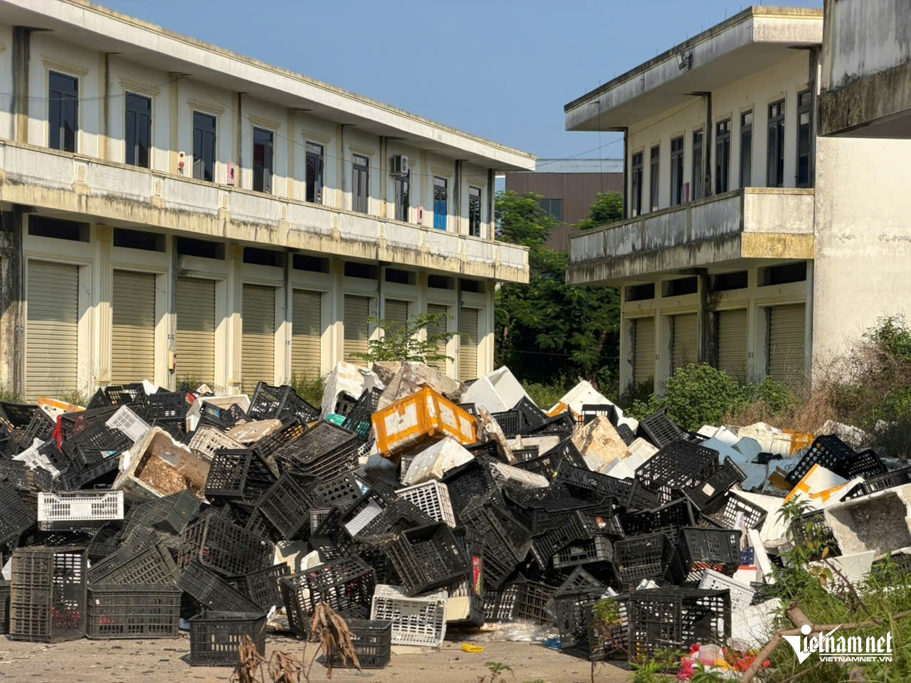 W-a chợ đầu11.jpg