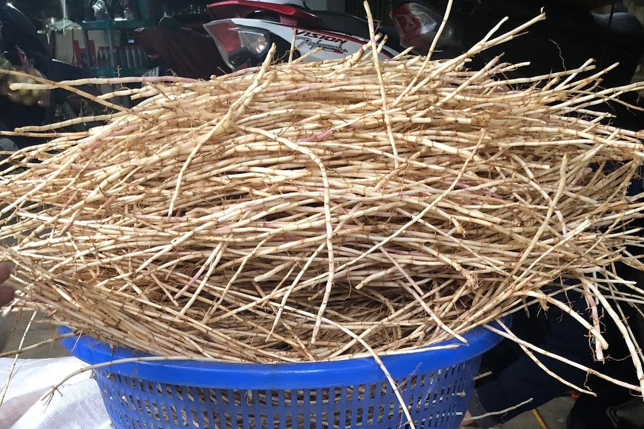 Loài cỏ dại bị ghét lại được Đông y coi như 'báu vật'