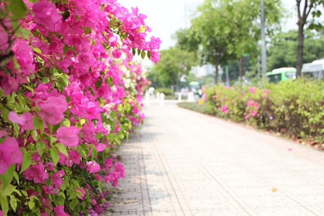 Người yêu mắc bệnh ở tuổi 40, tôi có nên rời đi để tìm hạnh phúc?