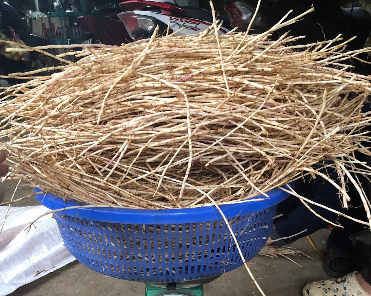 Re_ co _ tranh .jpg