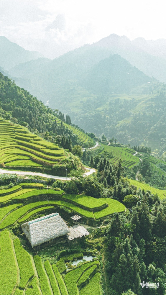 https://static-images.vnncdn.net/vps_images_publish/000001/000003/2026/9/26/w-at12345ue-38-3040.jpg