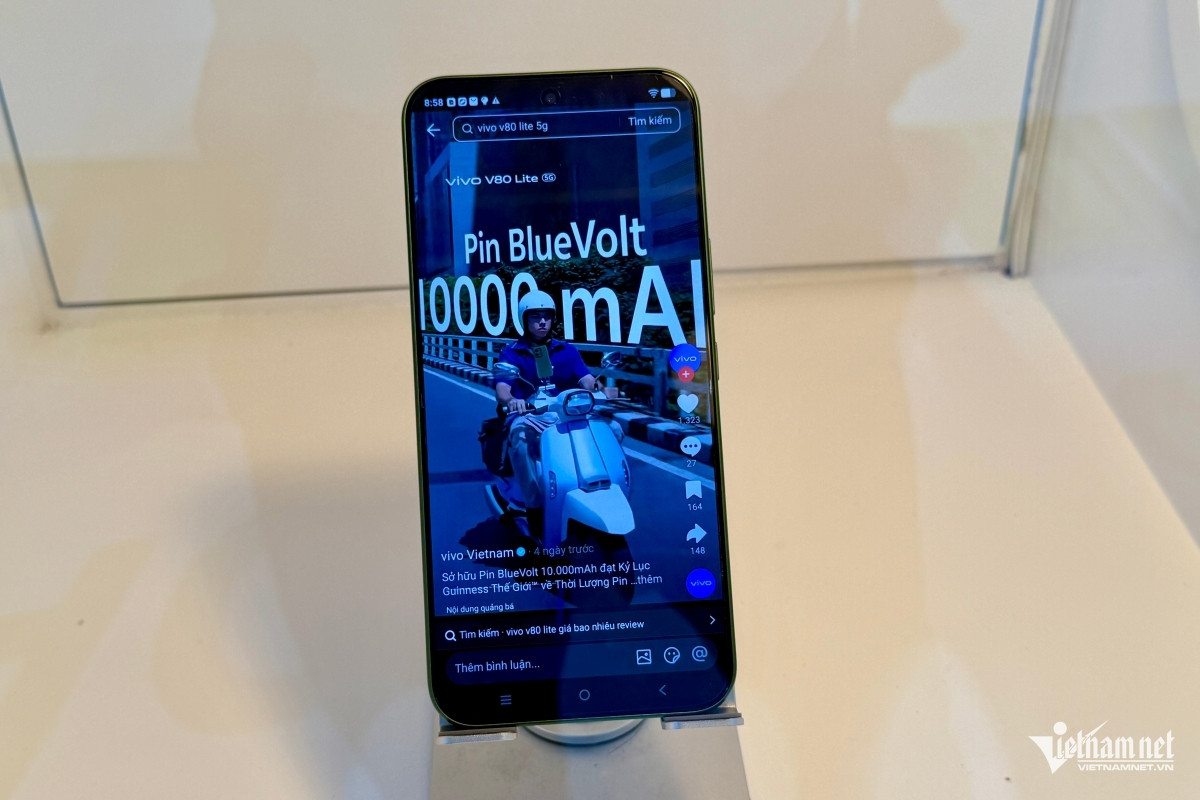 W-vivo80.jpg