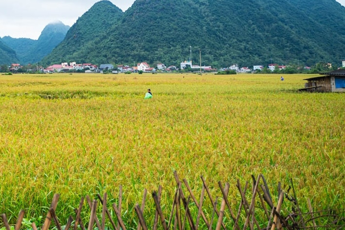 Em dâu giám đốc, lương 70 triệu bất bình vì phải gửi bố mẹ chồng 5 triệu/tháng