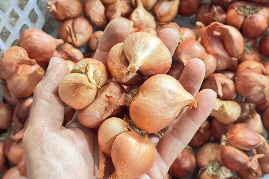 Loại gia vị quen thuộc trong gian bếp đa công dụng nhưng đại kỵ với thịt chó