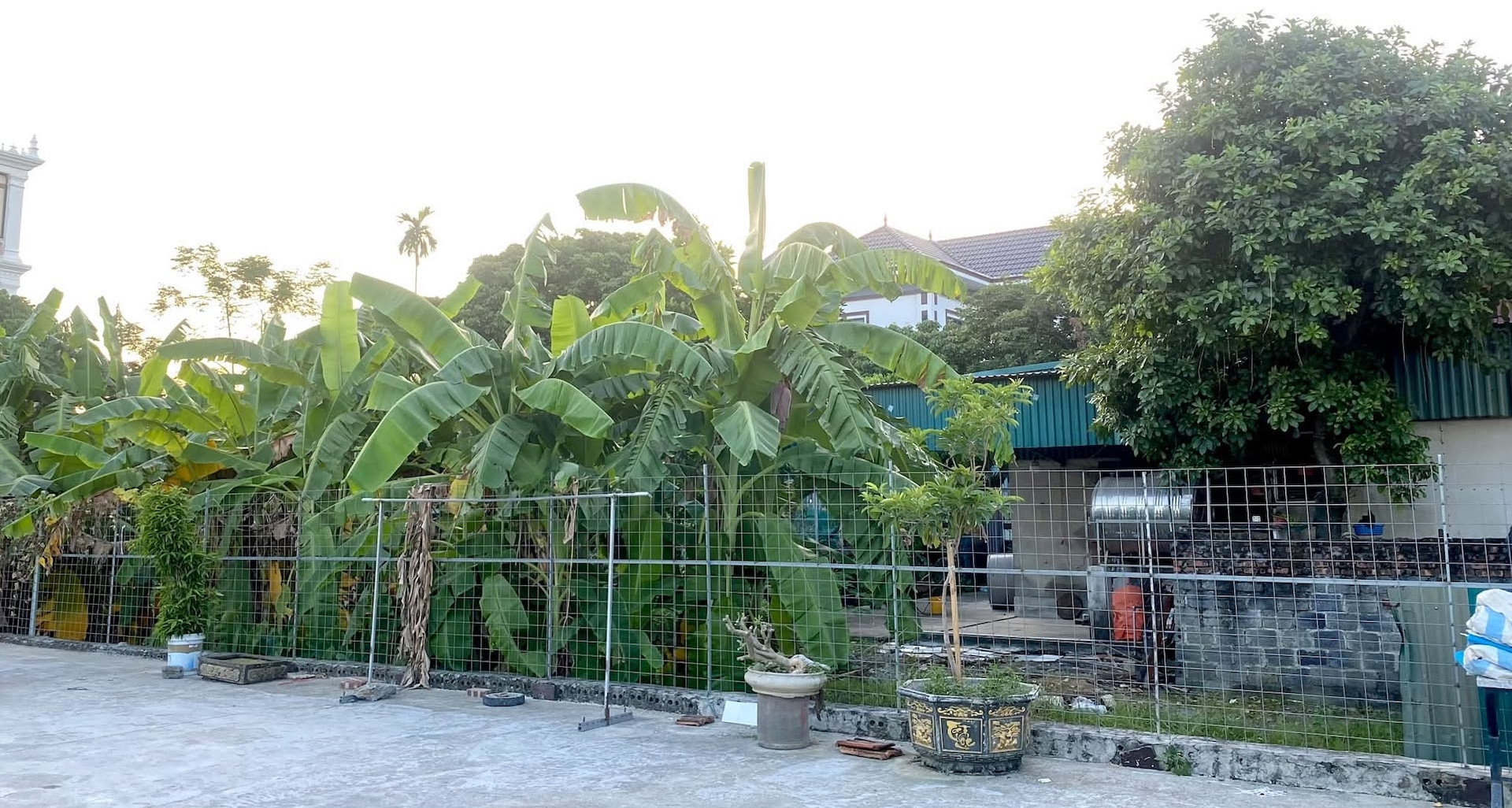 Báo VietnamNet