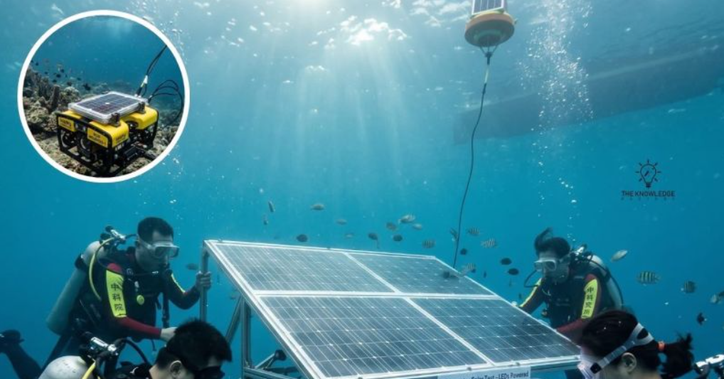 Pin mặt trời phát điện ở độ sâu 10m dưới biển, hiệu suất gấp đôi trên cạn