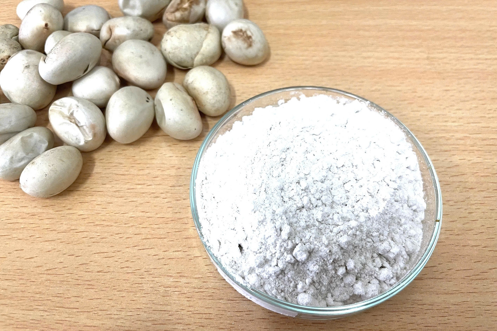 Từ hạt mít, các nhà khoa học tạo vật liệu siêu hấp thụ, cải thiện đất ô nhiễm