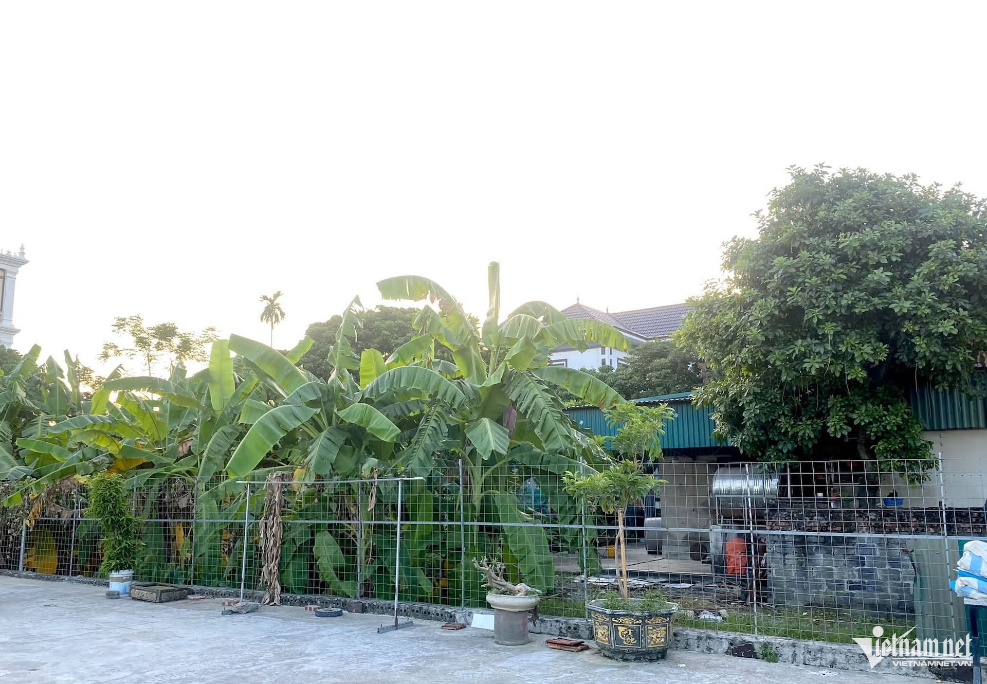 Báo VietnamNet