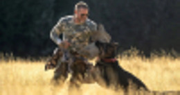 heart of the beast.jpg.webp