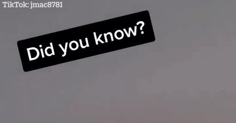 Báo VietnamNet
