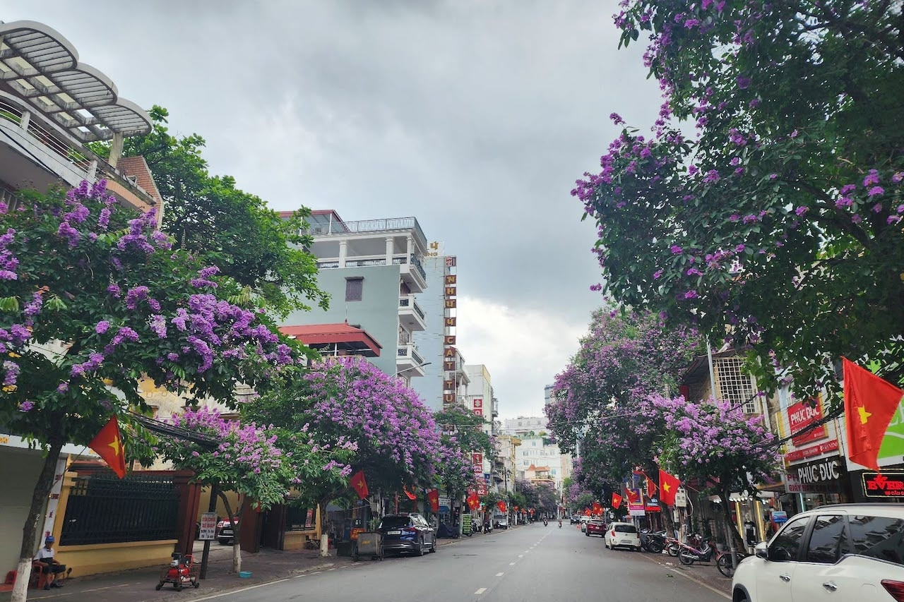 Hải Phòng tạm cấm đường Cầu Đất để thu hồi, vận chuyển và huỷ nổ 1 quả bom