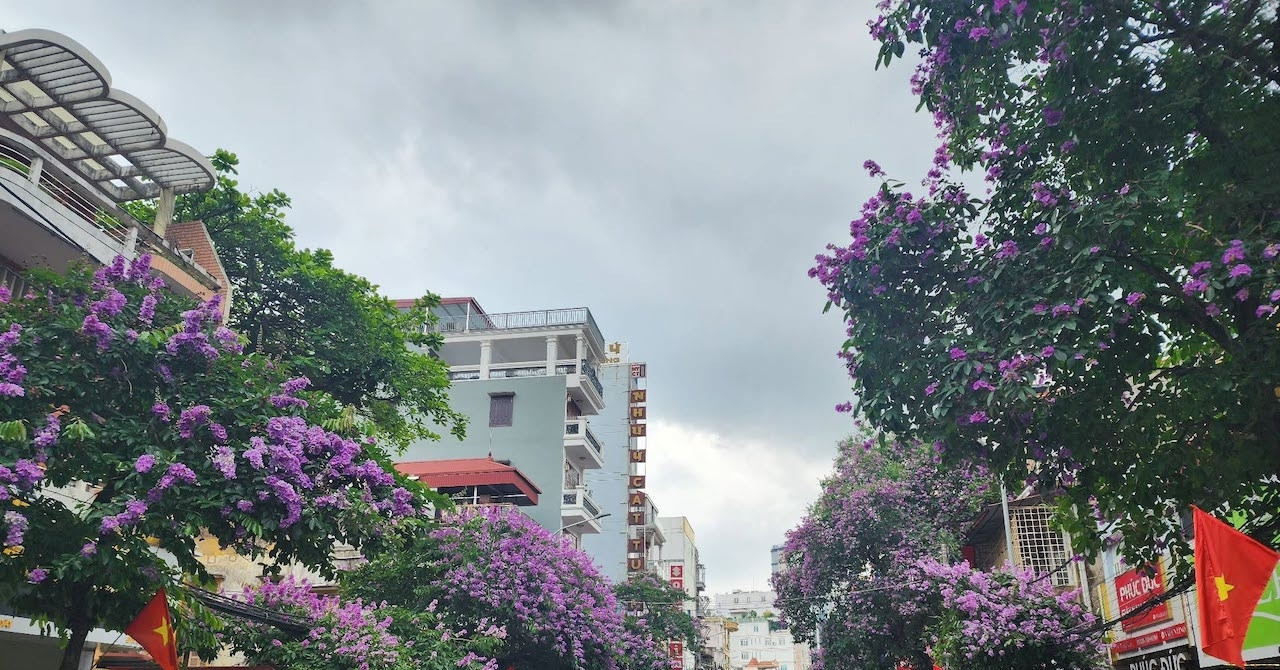 Hải Phòng tạm cấm đường Cầu Đất để thu hồi, vận chuyển và huỷ nổ 1 quả bom