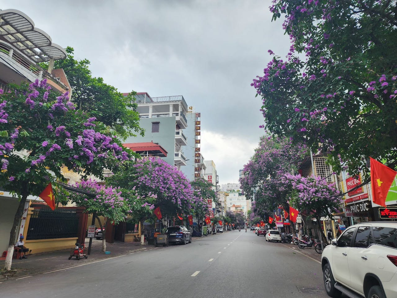 hình ảnh cầu đất.jpeg