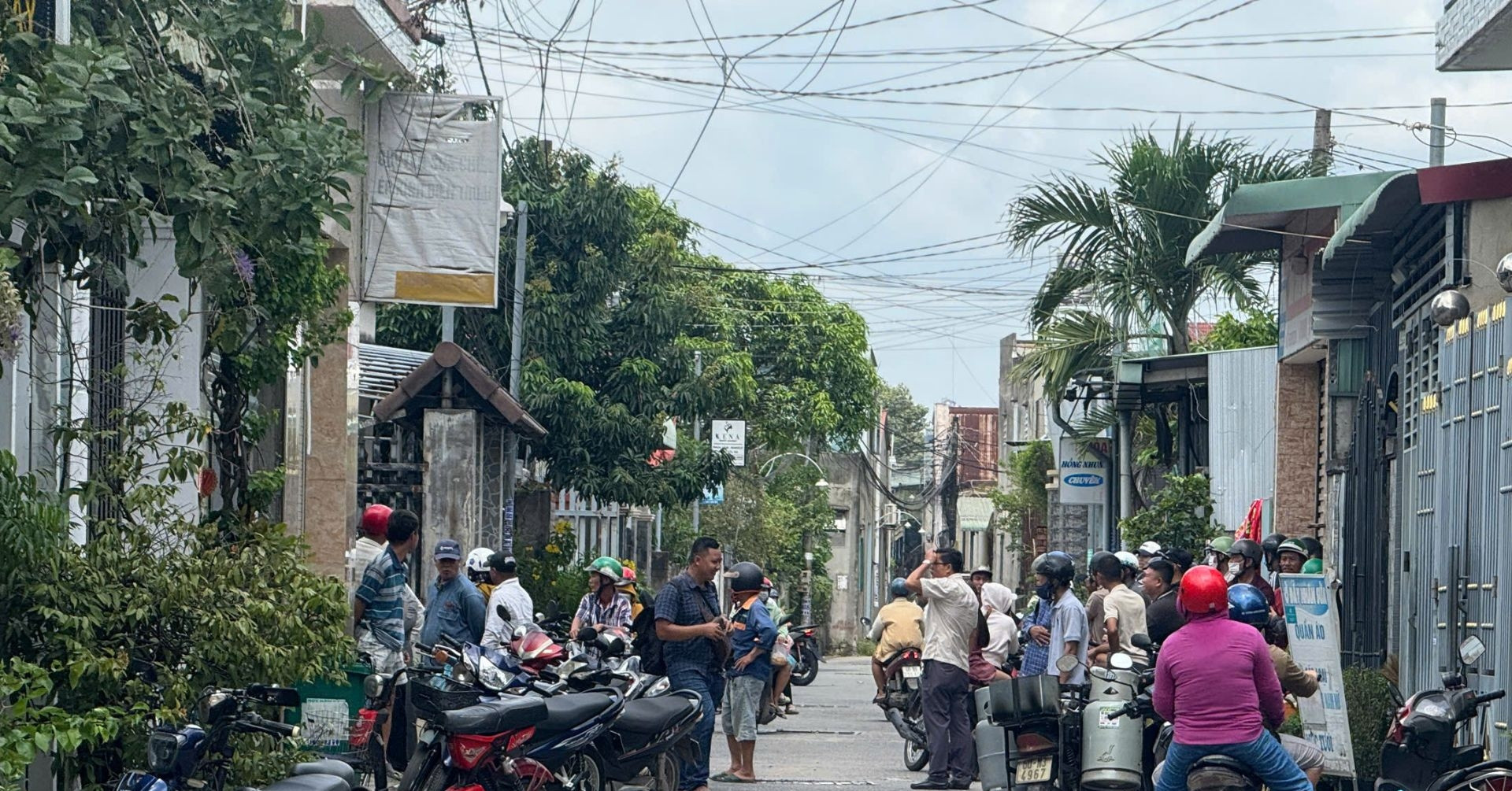 vietnamnet.vn