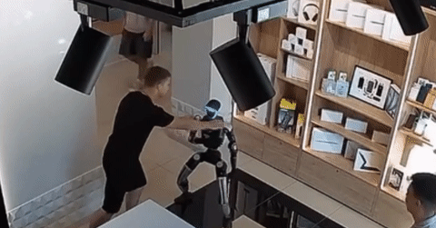 Robot hình người ở Nga tấn công lại con người sau khi bị xô đẩy