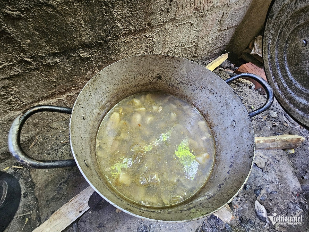 W-ảnh 9.jpg