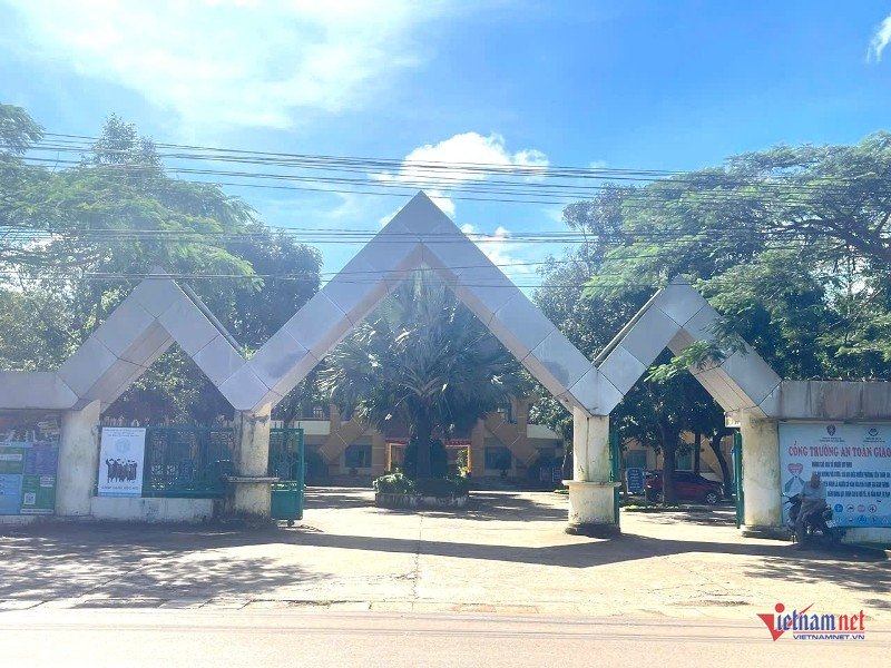W-Đình chỉ giáo viên dạy lái.jpg