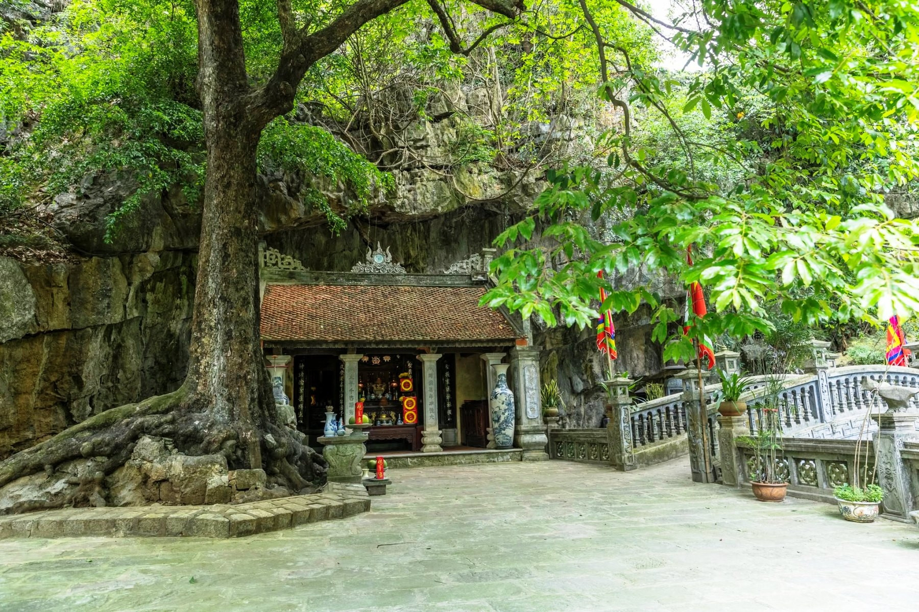 Phủ Khống với cây thị cổ thụ “hai loại quả” và bí ẩn mộ vua Đinh giữa Tràng An