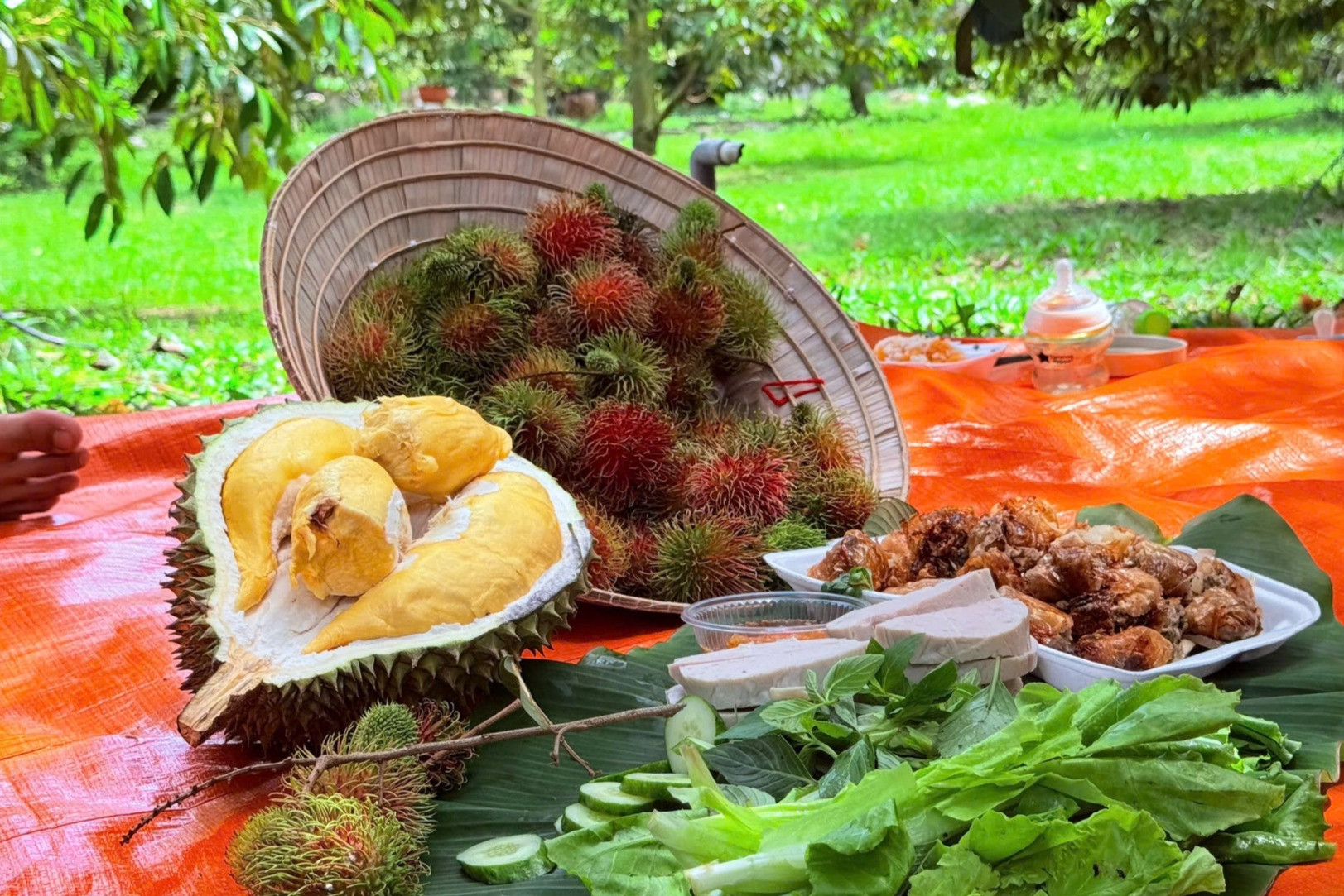 vườn chôm chôm